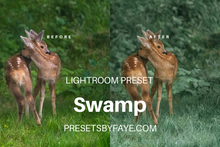 Load image into Gallery viewer, SWAMP LIGHTROOM PRESETS - PresetsbyFaye
