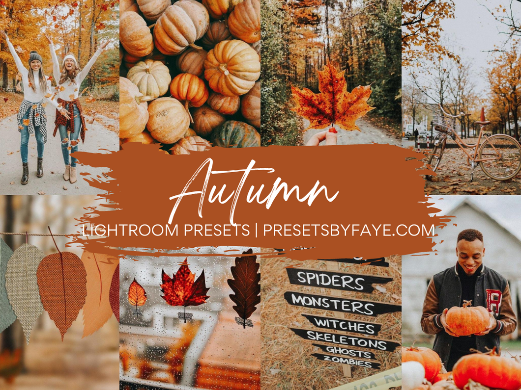 Autumn Mood Lightroom Presets