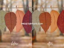 Load image into Gallery viewer, AUTUMN LIGHTROOM PRESETS - PresetsbyFaye
