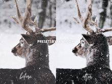 Load image into Gallery viewer, WINTER HOLIDAY LIGHTROOM PRESETS - PresetsbyFaye
