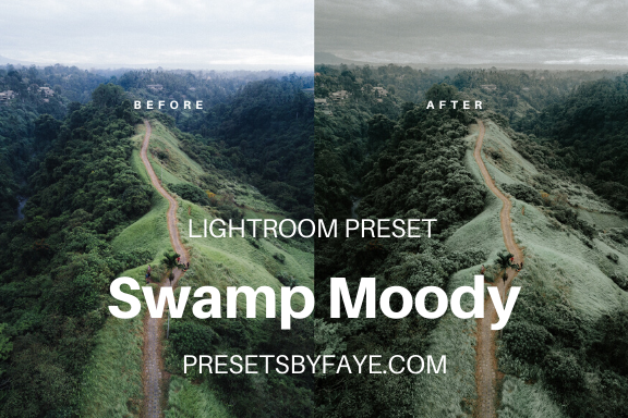 SWAMP LIGHTROOM PRESETS - PresetsbyFaye