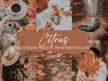 Load image into Gallery viewer, Citrus Lightroom Presets
