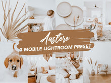 Load image into Gallery viewer, AUSTERE LIGHTROOM PRESETS - PresetsbyFaye
